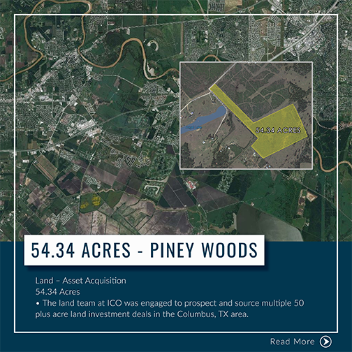 Piney Woods
