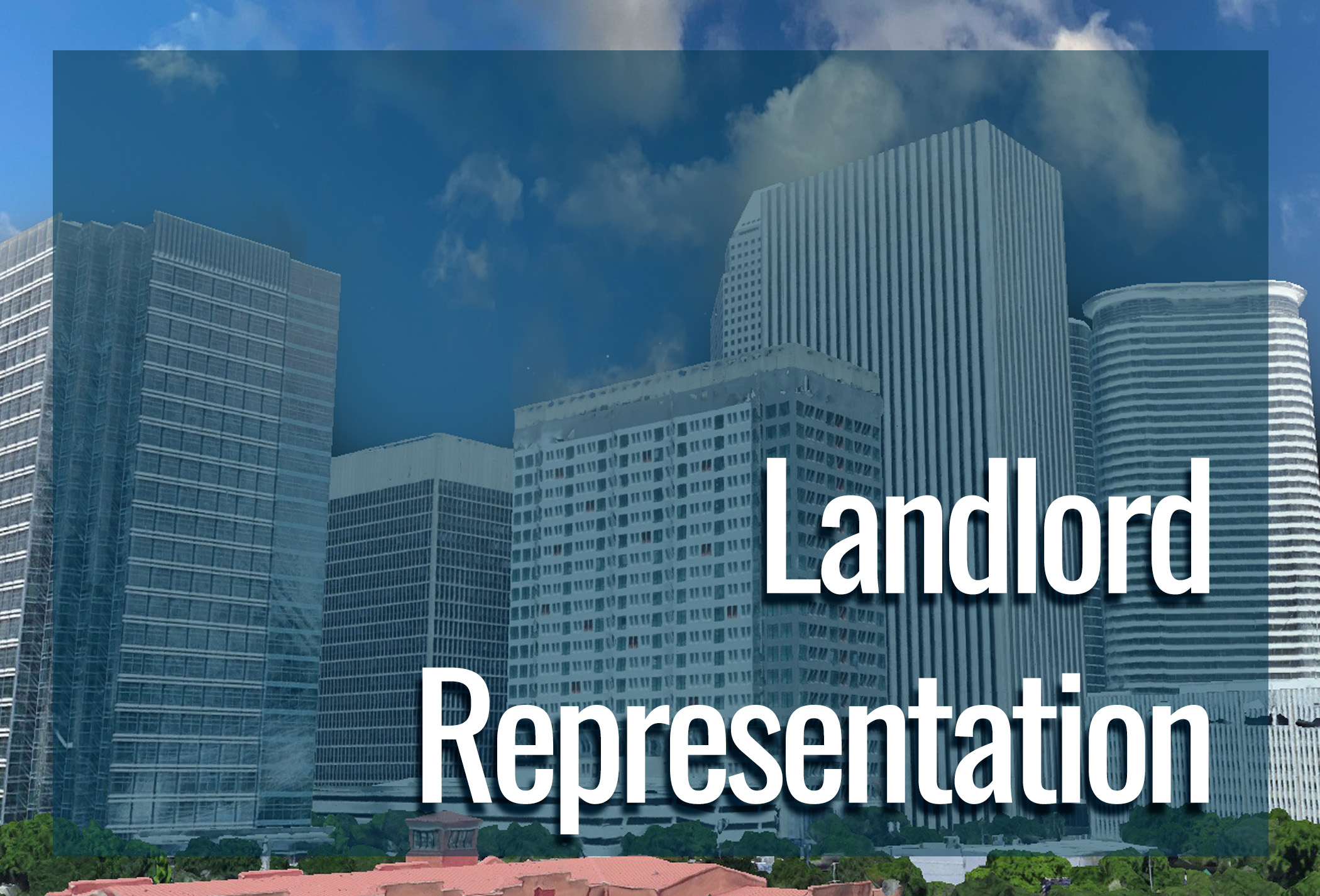 Landlord Representation